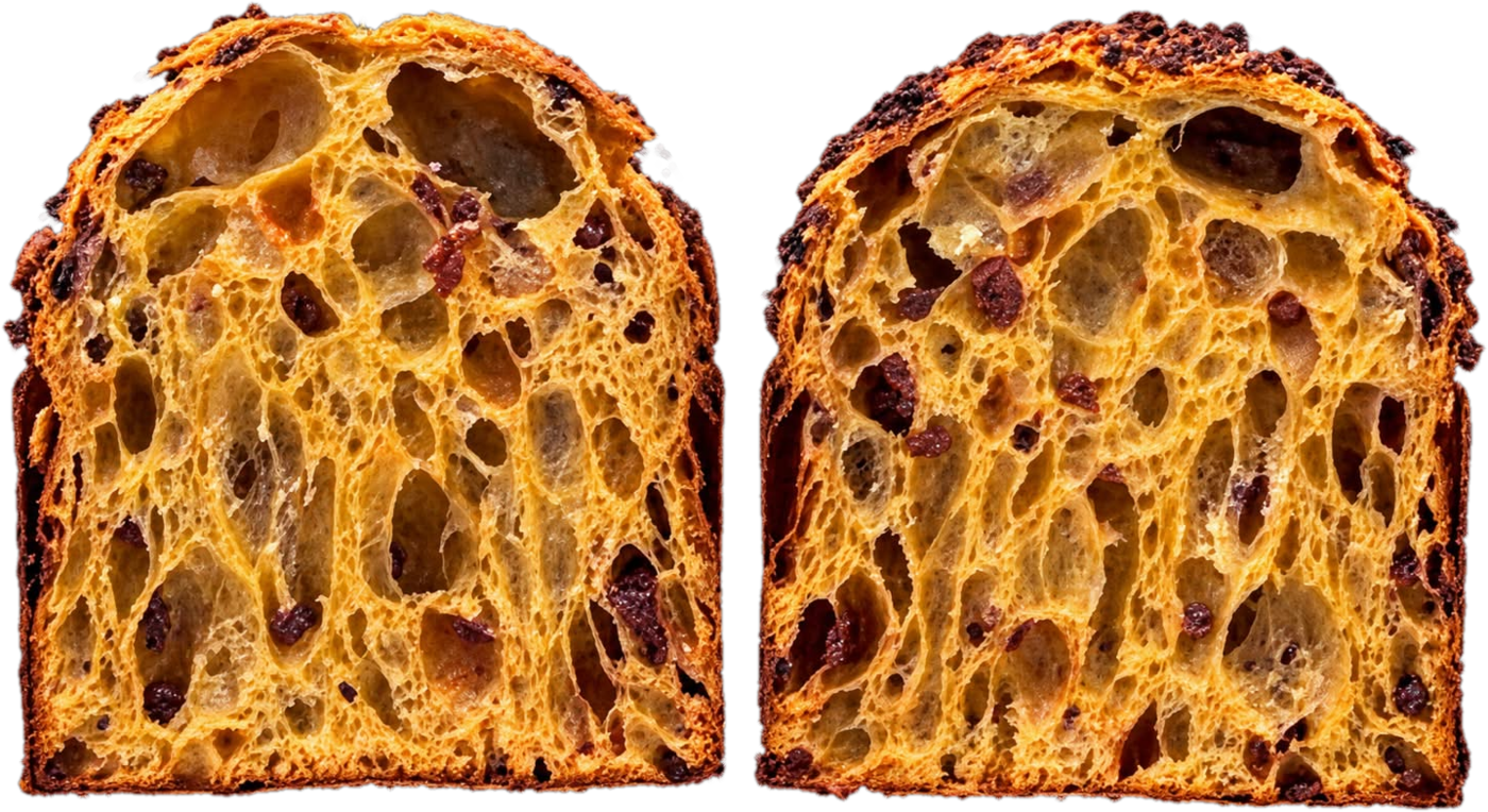 Alveolatura del Millebolle Petito